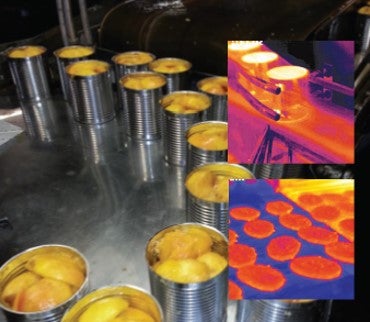 Food filling inspection