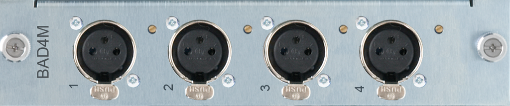 Burl Audio-DAUGHTER-CARDS BAD4M_R