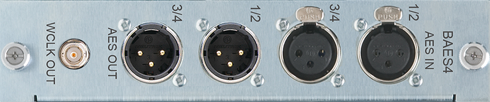 Burl Audio-DAUGHTER-CARDS BAES4