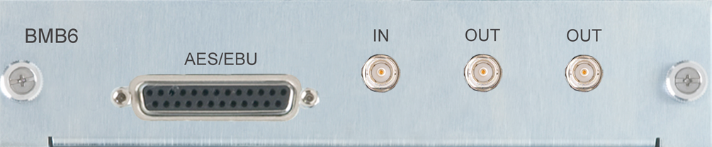 Burl Audio-MOTHERBOARDS BMB6