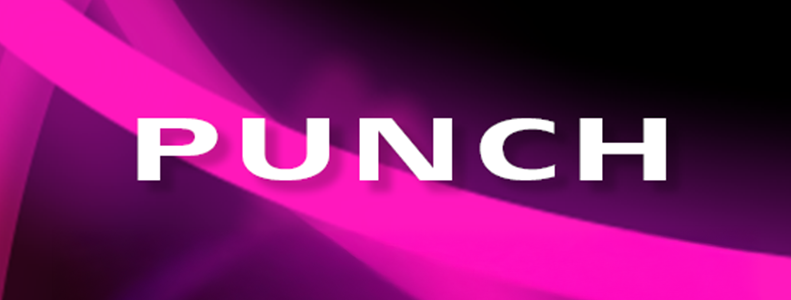 Zynaptiq   PUNCH