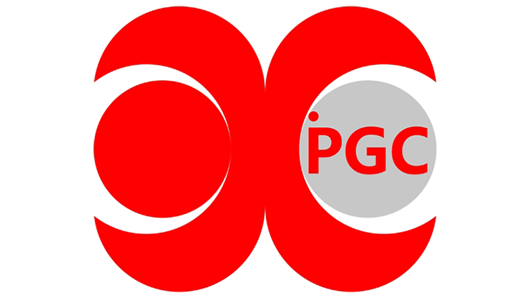 Progate Group Corporation