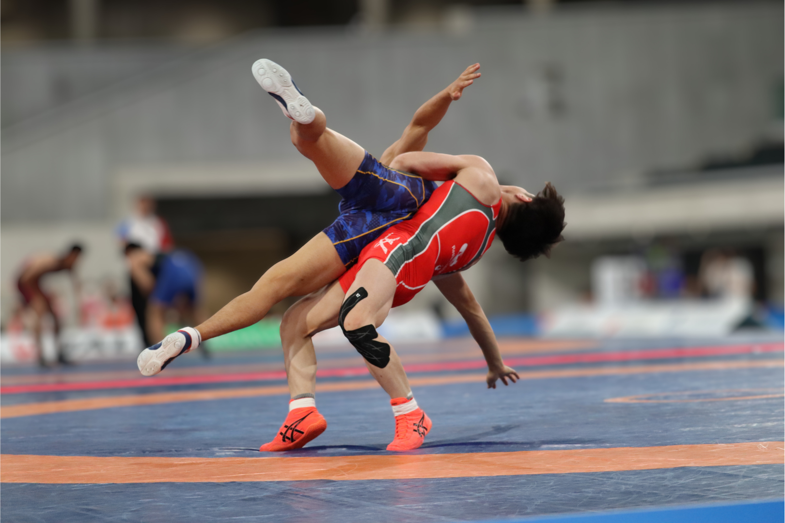 2023年 明治杯全日本選抜選手権大会